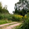 Wanderweg Biesenthal Wanderweg Biesenthal